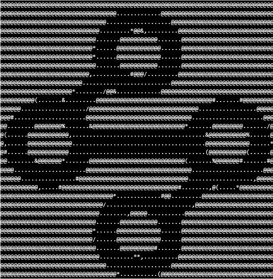logo in ascii art